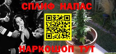 гидропоника Дмитров