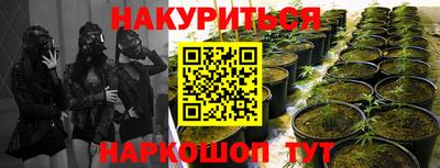 гидропоника Дмитров